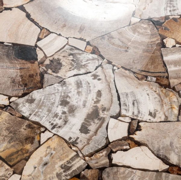 Picture of Petrified Cocktail Table