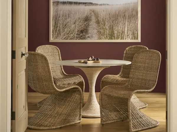 Picture of OASIS DINING CHAIR